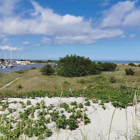 8 Person In Hals-by Traum Hals